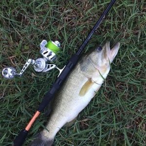 Meet your Posher, Dennis